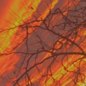 Meet your Posher, Franklin